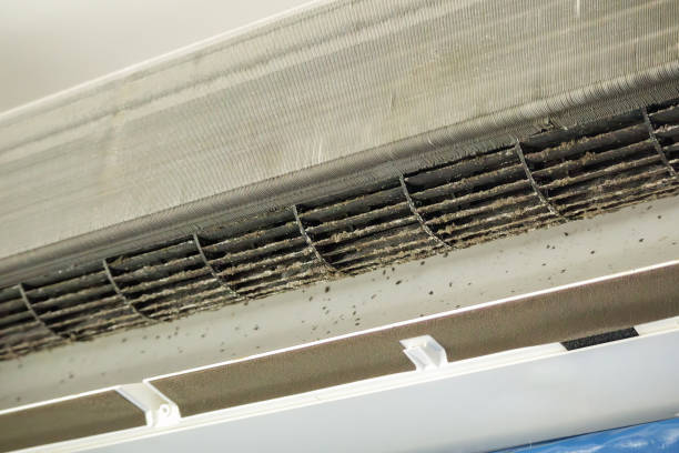 Trusted Hayfield, MN Airduct Cleaning Experts